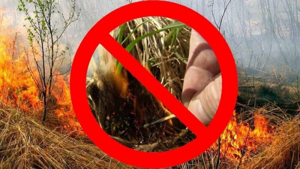МЧС предупреждает об опасности палов сухой растительности
