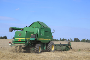 В Новогрудском районе убрано 45% зерновых и зернобобовых
