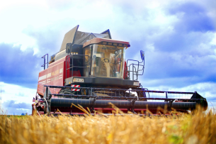 В Новогрудском районе убрано 87% зерновых и зернобобовых