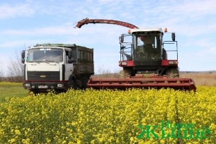 В сельхозпредприятиях Новогрудчины начался сезон
заготовки кормов