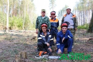 Работники Новогрудского лесхоза сберегают и приумножают лесные богатства