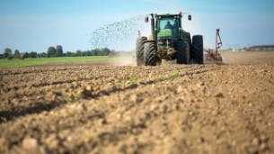 Belarus launches winter grain sowing