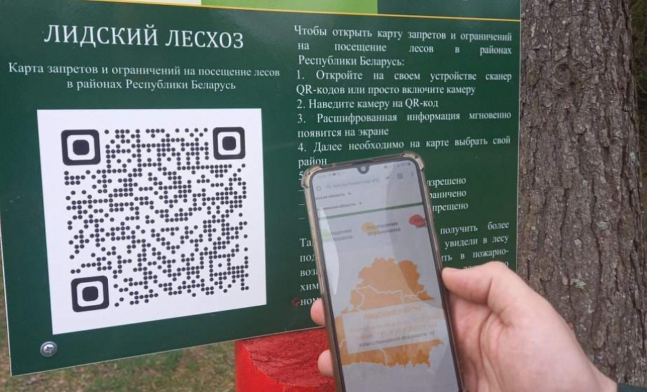 «Таблички с QR-кодами быстро сориентируют граждан, можно ли посещать лес. Рассказываем, где они появились и кому принадлежит идея»