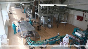 Новая линия по производству зерновых хлопьев установлена на ОАО 