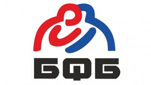 Спортсмены Гродненской области выиграли командное первенство чемпионата Беларуси по вольной борьбе