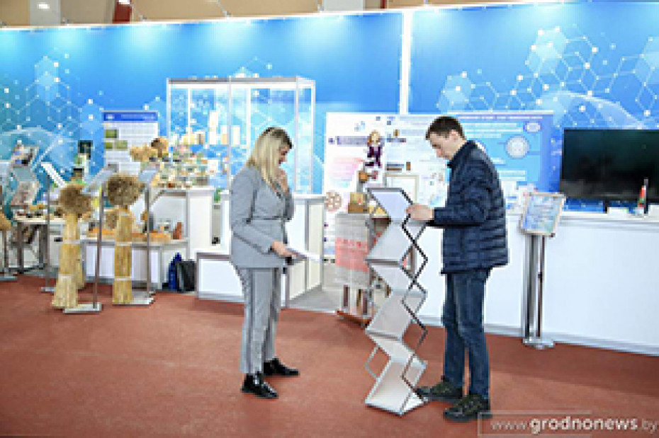 16 марта в Гродно начинает работу выставка «Беларусь интеллектуальная». Организаторы рассказали, как проходит подготовка к открытию